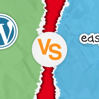 Custom solution vs open source
